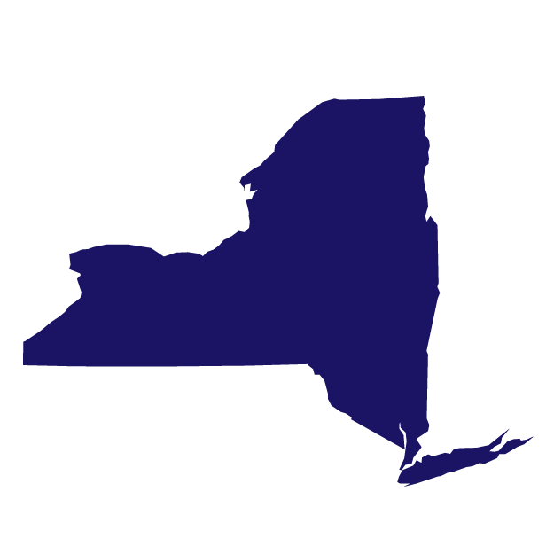 State of New York image